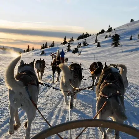 Vervet I Center I Amazing Balcony Appartement